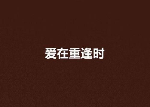 爱在重逢时,爱意绵延