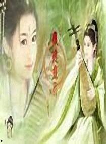 魅惑君宠,宫廷秘恋的华丽篇章