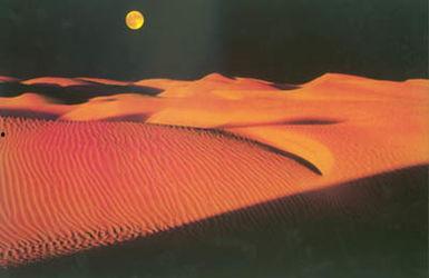 通过沙漠之夜,沙漠之夜的神秘旅程